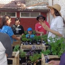 Taller de Huertos orgánicos