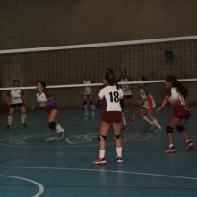 Primer lugar en Copa Madrigal de Vóleibol