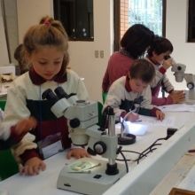 Salidas pedagógicas de Jardín 2 y 1° Básico