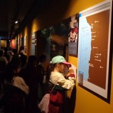 Salidas pedagógicas