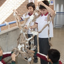 Avances Juegos Otoñales